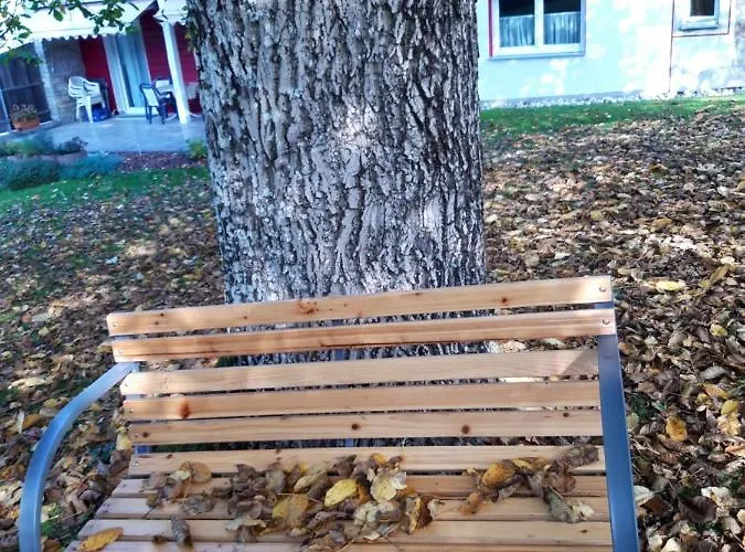 Im Seidlerhof Mit Terrasse *