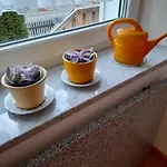Apartment Im Seidlerhof Mit Terrasse Rohrnbach