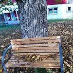 Im Seidlerhof Mit Terrasse *