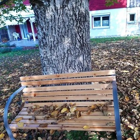 Im Seidlerhof Mit Terrasse *